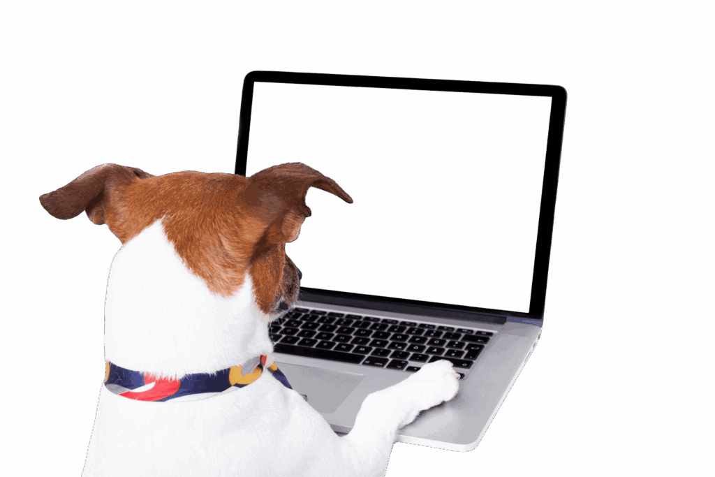 nohat_bg_removed_ffc1be4c