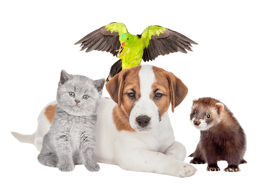 shutterstock_1926594350 1